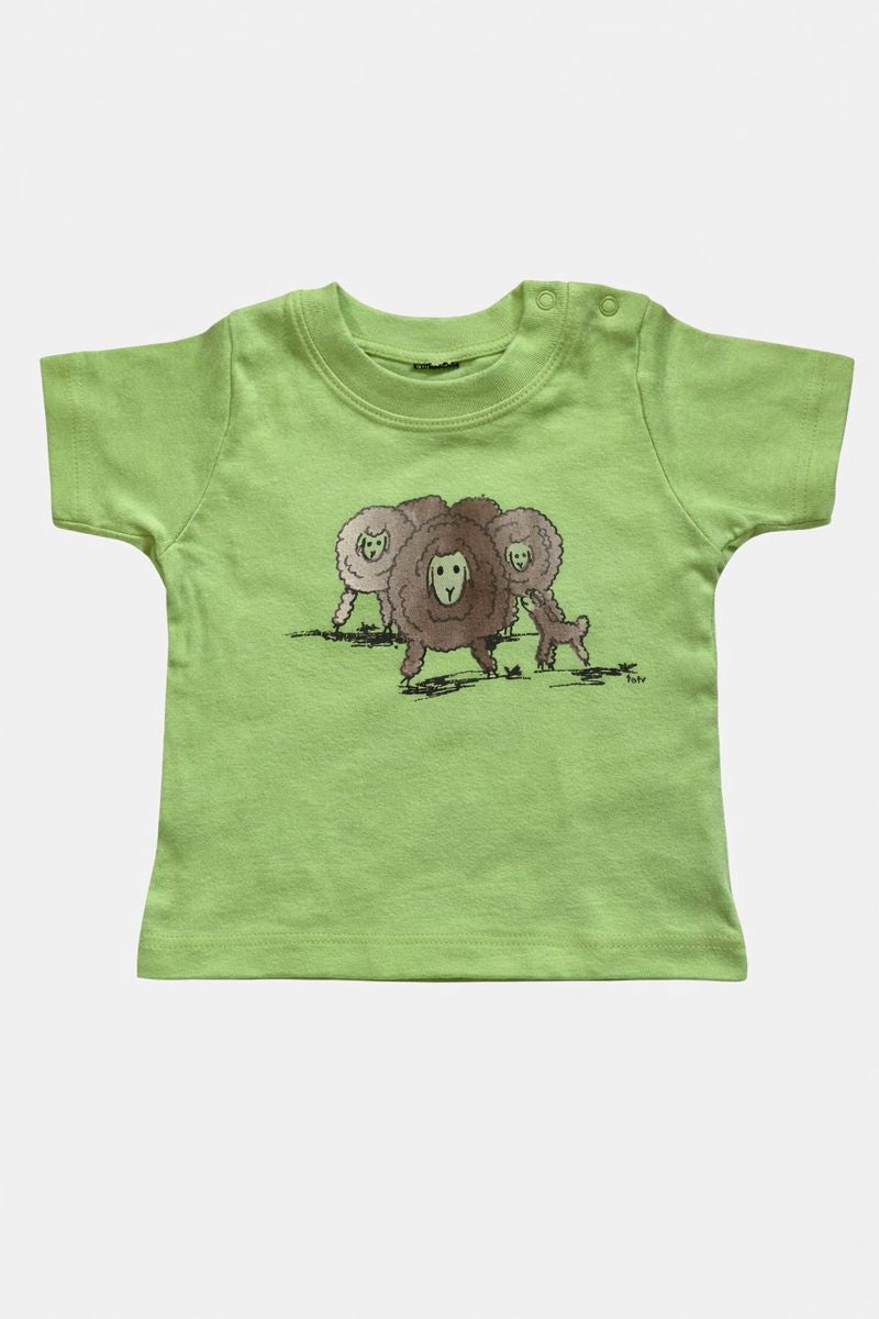 Baby Schafe